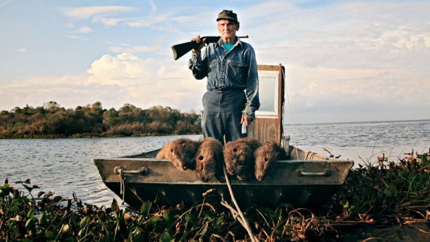 rous1_thomas_gonzales_defending_delacroix_island_louisiana_from_the_invasion_of_nutria-h_2017.jpg