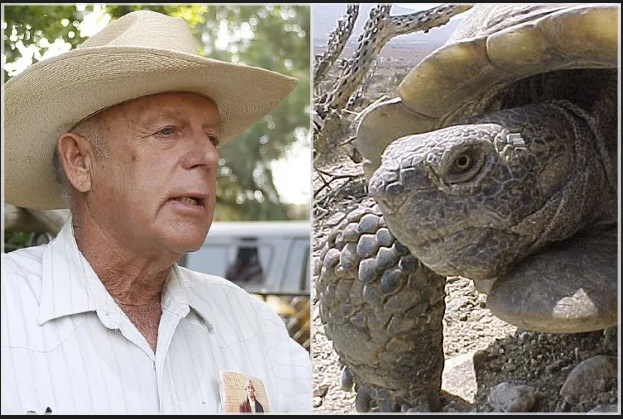 Screen Shot 2020-03-18 at 1.44.53 PM.png